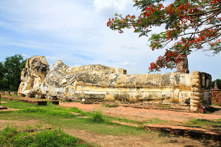 Giant Buddha statue in the historical Park of Ayutthaya, Phra Nakhon Si Ayutthaya, Thailandのeditorial素材