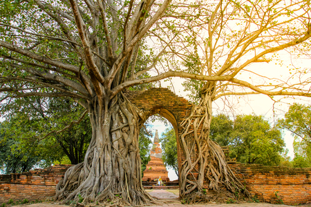Ancient gate at Wat Phra Ngam Temple, Ayutthaya ,Thailand.の写真素材