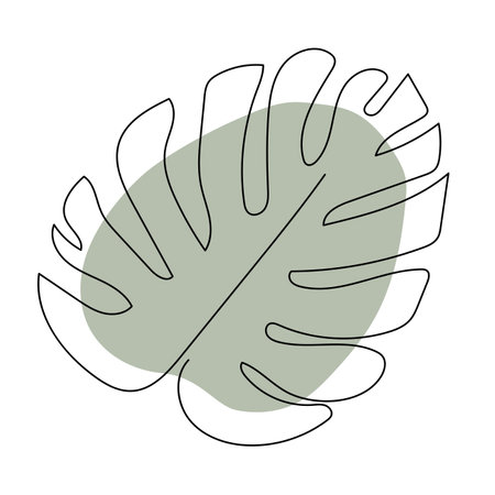 Plant leaves line art. Contour drawing. Minimalism art.のイラスト素材