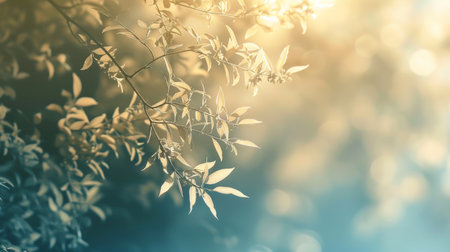 Golden sunlight filters through delicate leaves, creating a tranquil bokeh effect in the soft-focus background.の素材