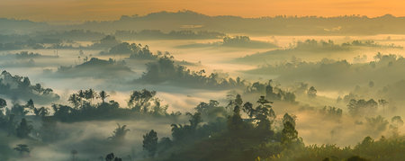 This breathtaking image captures the ethereal beauty of a mist laden landscape at sunrise The rolling hills and dense forest are shrouded in a soft ethereal veil of fog creating an atmosphere ofの素材