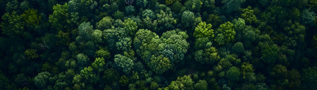 This captivating aerial image reveals a breathtaking natural wonder hidden within the lush forest canopy A massive living heart shaped pattern emerges formed by the intricate growth and intertwiningの素材