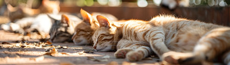 Group of Contented Cats Napping and Playing Together in a Peaceful Park Setting with Lush Greenery and Warm Sunlightの素材