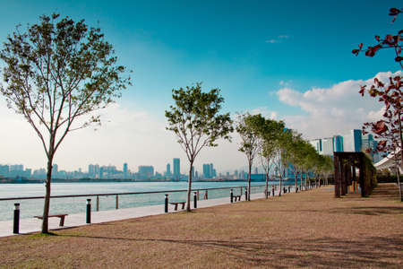 Trees Along Coastalの写真素材