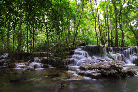 Water fall in spring season located in deep rain forest jungleの写真素材