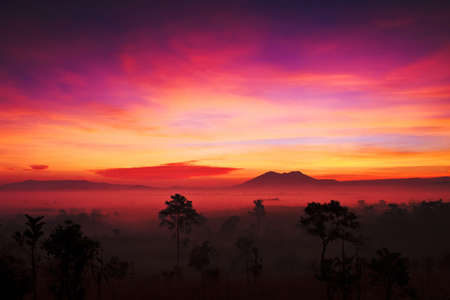 Sunrise in Tung salang luangの写真素材