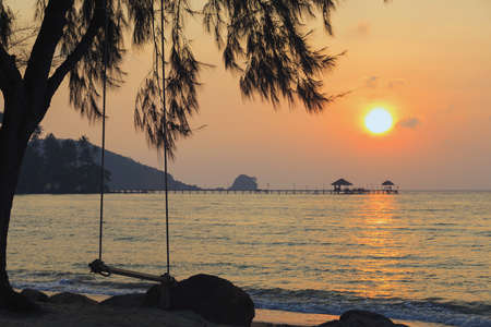 Swing hang on a tree beside the beach in Thailandの写真素材