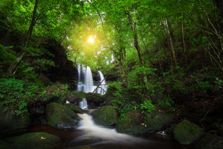 Natural waterfall in deep forestの写真素材