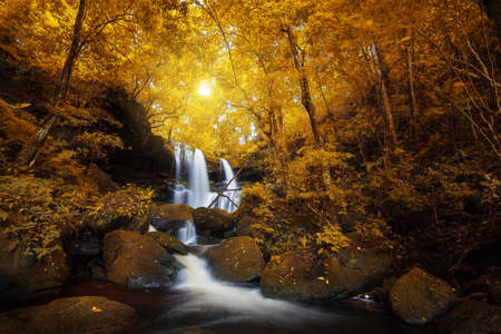 Natural waterfall in deep yellow forestの写真素材