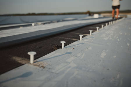 Synthetic pvc membrane fixed with dowels.の写真素材