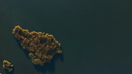 Aerial view The island with vegetation in the middle of a large river.