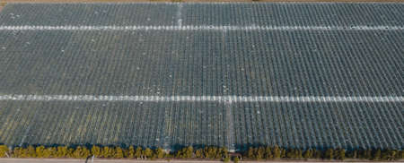 Aerial top view of greenhouse plant. Agronomy, year-round climate control and yield, indoor farming, heat recovery, power consumption and organic plant protection concept. Background image, copy spaceの写真素材