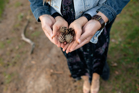 Female hands holding pine cone in the forest. Female hands holding pine cone.の写真素材