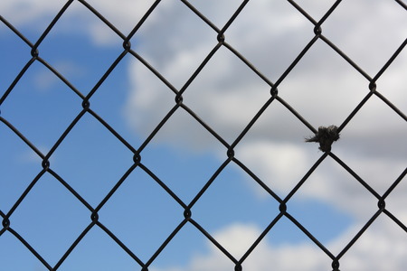 Blue sky with clouds behind a fence の写真素材