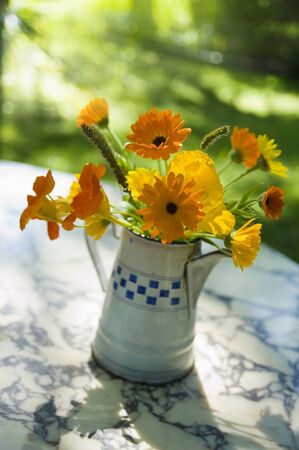 Autumn flowersの写真素材