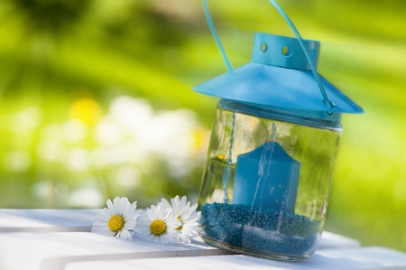Garden lantern with daisy flowersの写真素材