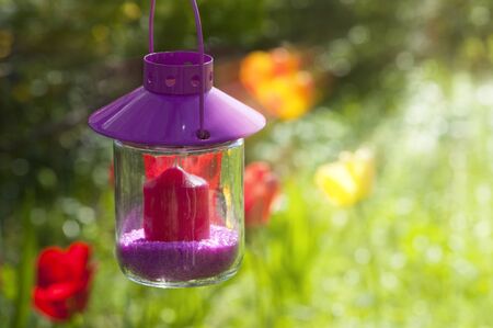 Garden lanternの写真素材