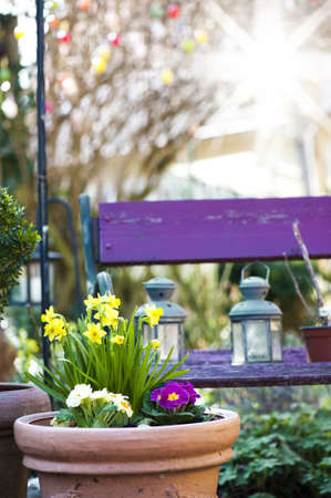 Spring flowersの写真素材