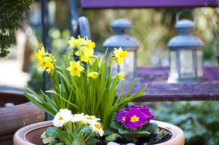 Spring flowersの写真素材
