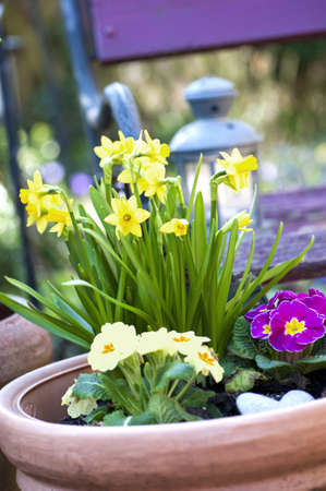 Spring flowersの写真素材