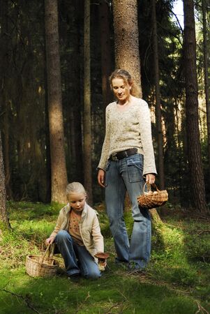 In the forestの写真素材