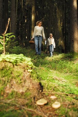 In the forestの写真素材