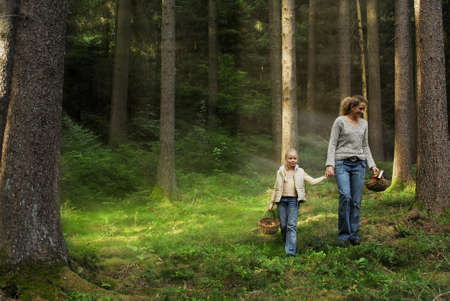 In the forestの写真素材