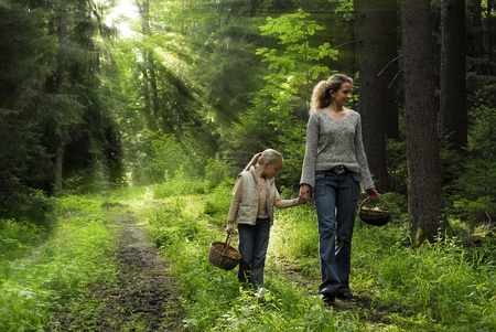 In the forestの写真素材