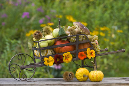 Thanksgivingの写真素材