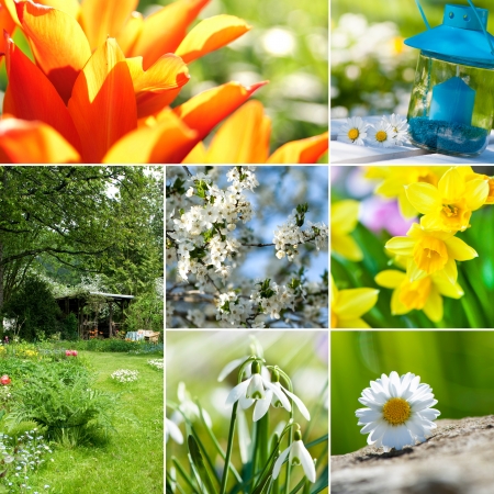 Spring collageの写真素材
