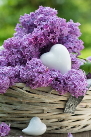 Lilac in a basket on wooden backgroundの写真素材