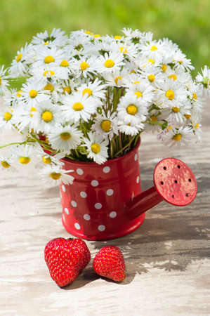 Watering can with strawberriesの写真素材