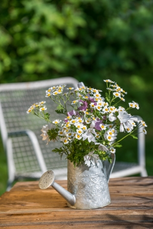 Watering can with garden flowersの写真素材