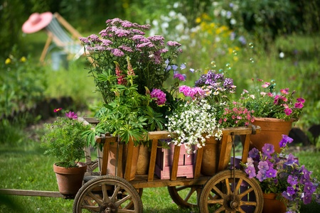 Idyllic garden with old wooden cartの写真素材