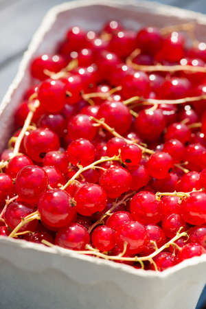 Fresh currants in fruit bowlの写真素材