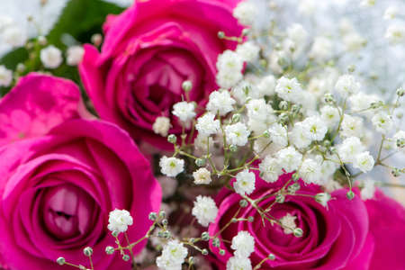 Closeup of a roses bouquetの写真素材