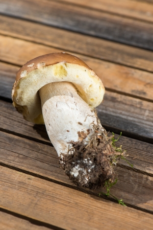 Edible mushroom on wooden backgroundの写真素材