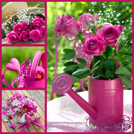 Roses collageの写真素材