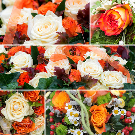 Roses collageの写真素材