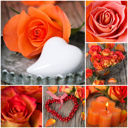 Roses collageの写真素材