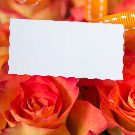 Sign with rosesの写真素材