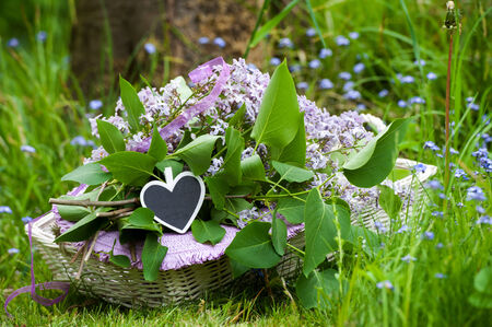 Purple lilac in a basketの写真素材