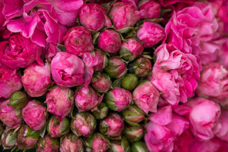 Close up of a roses bouquetの写真素材