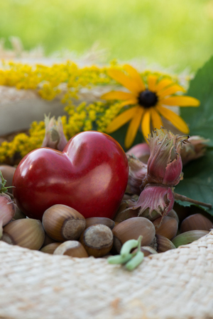 Heart with hazelnuts in a straw hatの写真素材