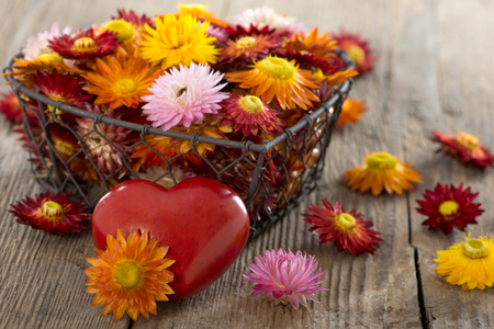 Heart basket with straw flower blossomsの写真素材