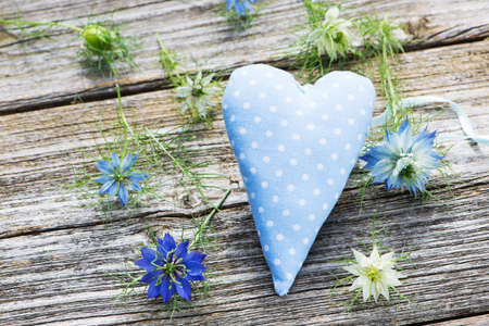 Nigella blossoms on wooden backgroundの写真素材
