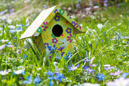 Colorful birdhouse in a spring meadow