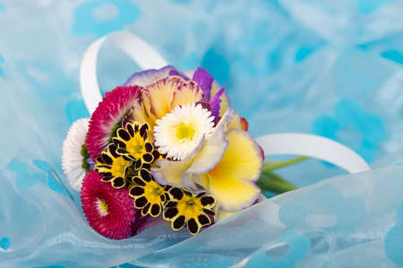 Little spring flower bouquet