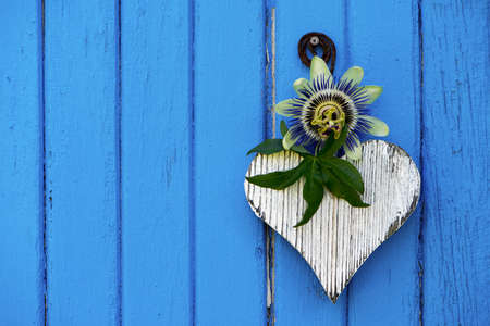 White wooden heart on blue wooden backgroundの写真素材