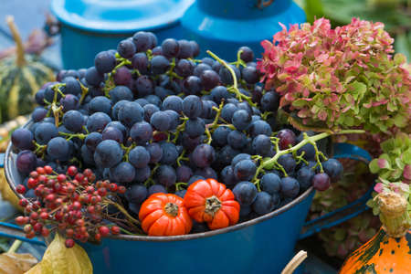 Colorful autumn harvest timeの写真素材